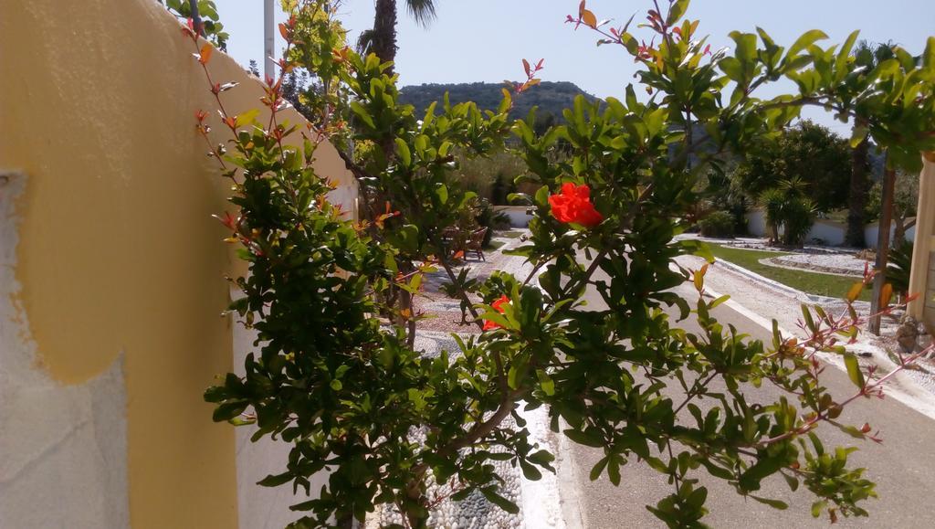Mosaic Gardens Apartment Faliraki Exterior photo