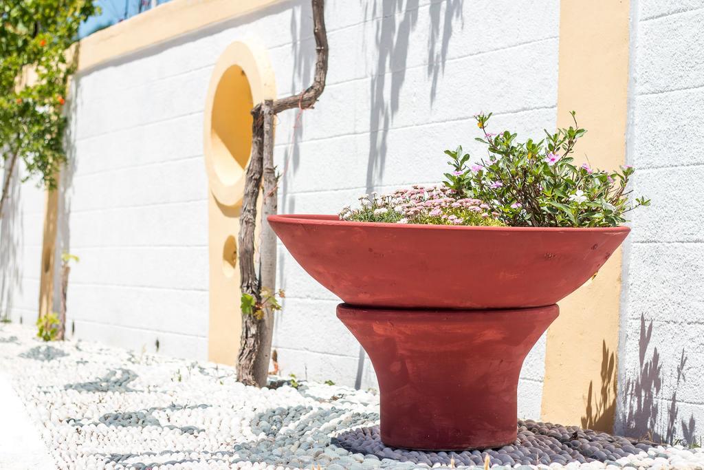 Mosaic Gardens Apartment Faliraki Exterior photo